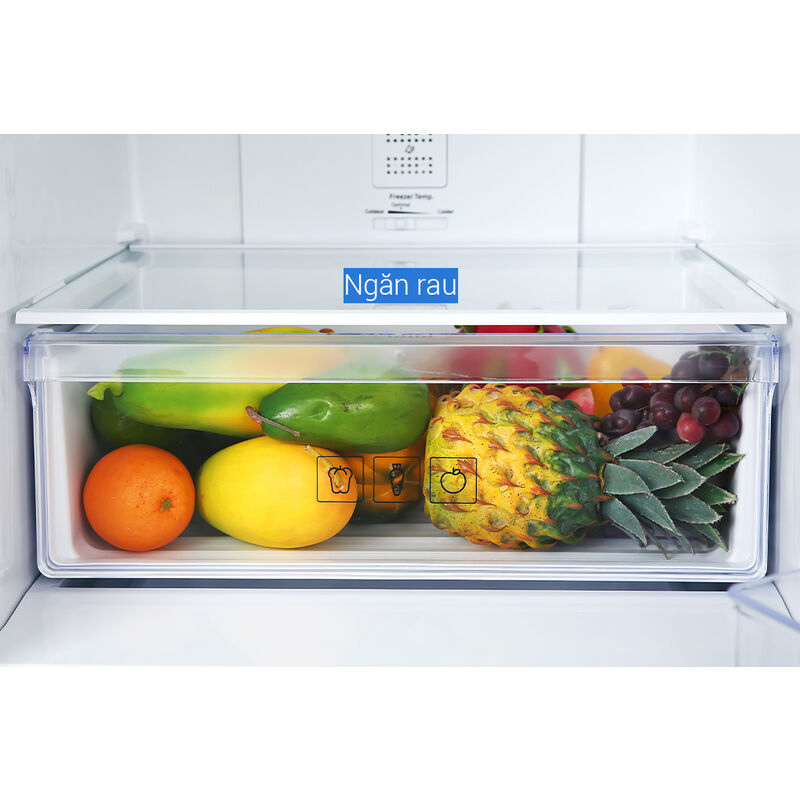 Tủ lạnh Samsung Inverter 307 lít RB30N4170BU/SV