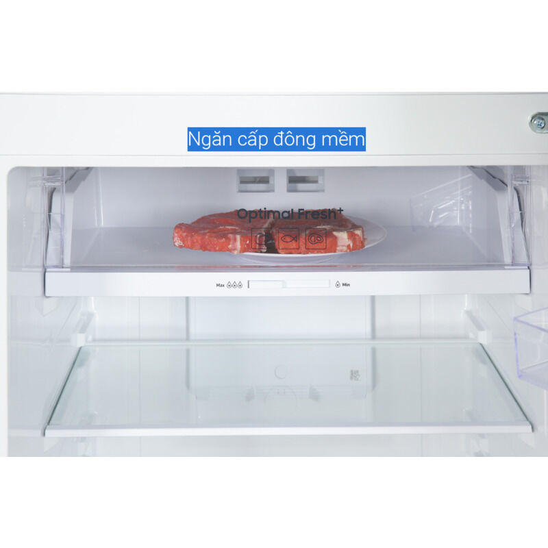 Tủ lạnh Samsung Inverter 305 lít RT31CG5424B1/SV