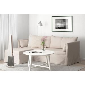 Máy lọc không khí kết hợp quạt vs sưởi LG PuriCare AeroTower FS15GPCJ0.ABAE 40W